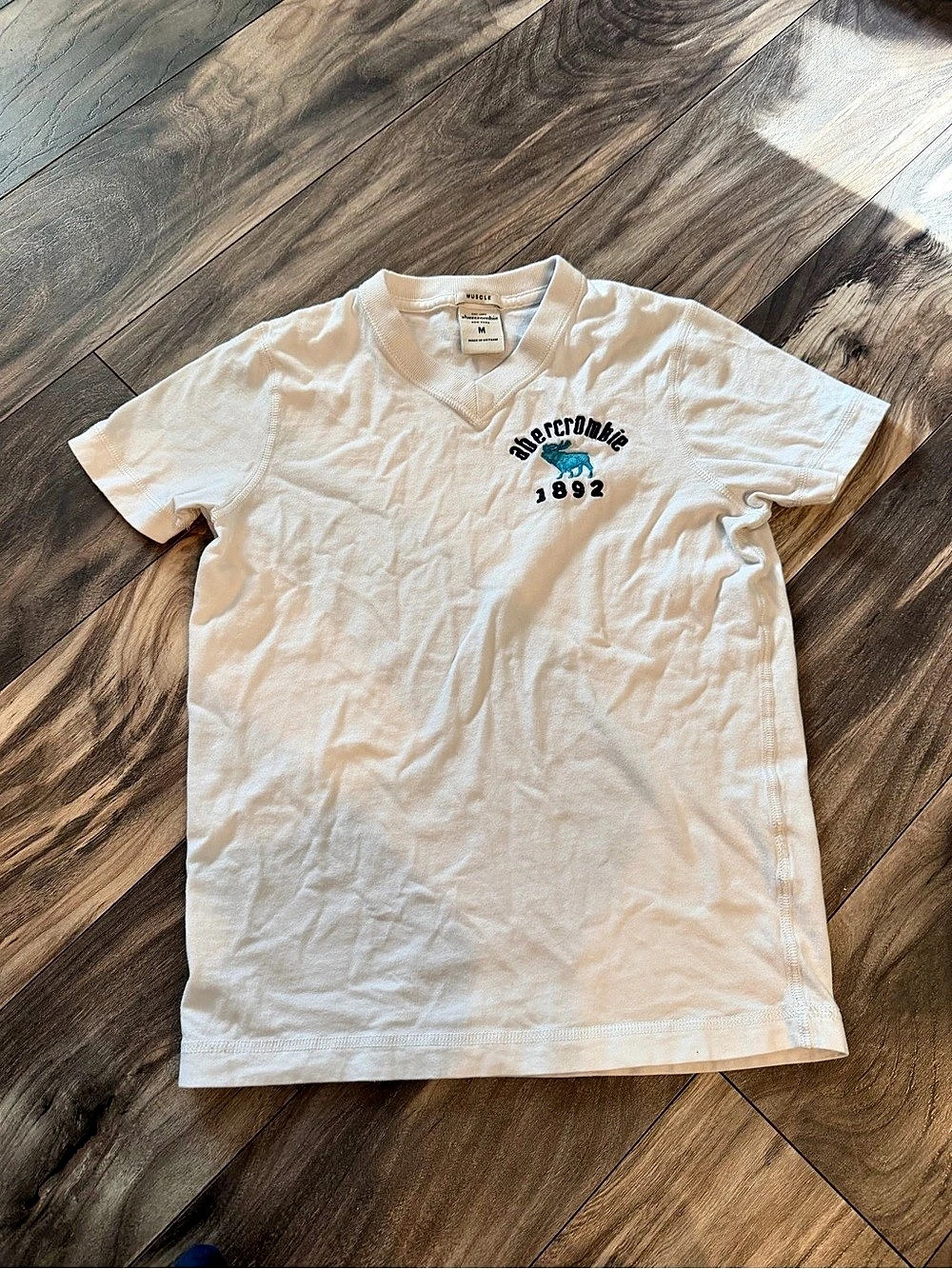 Vintage Y2K Abercrombie & Fitch Moose Muscle Tee V-Neck Medium